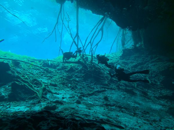 Comment planifier un voyage pour vivre une expérience de plongée en grotte ?