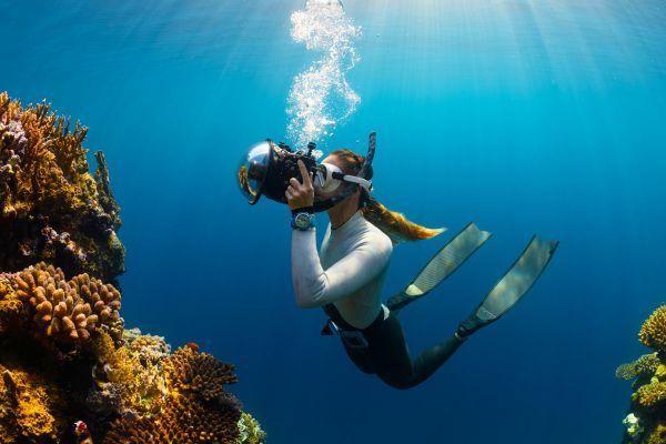 Guide complet pour découvrire la plongée sous-marine