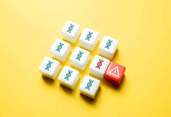 Comment identifier les traces d'animaux sauvages en camping ?